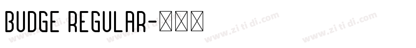 budge regular字体转换